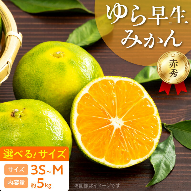 【ふるさと納税】【2025年先行予約】 ゆら早生みかん 赤秀品 約5kg 選べるサイズ 3S ～ M 和歌山県 有田産 赤秀 有田 みかん 温州みかん 極早生 人気 品種 ジューシー 酸味 柑橘 果物 果実 果肉 フルーツ ビタミン 食品 国産 お取り寄せ お取り寄せフルーツ 湯浅町 送料無料