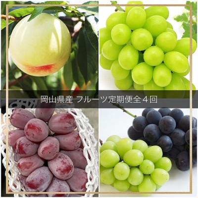 ふるさと納税 津山市 【発送月固定定期便】岡山県産  フルーツ定期便全4回