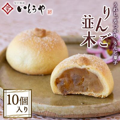 ふるさと納税 飯田市 【いとうや】 りんご並木 10個入り