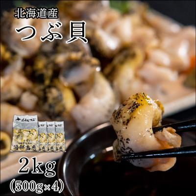 ふるさと納税 鹿部町 北海道鹿部町産 訳あり 前浜ボイルつぶ 2kg(500g×4袋) KS05-4