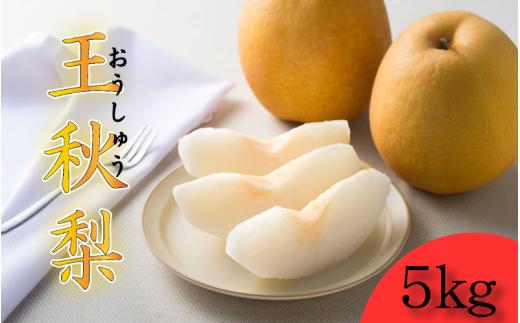 【先行予約】中野農園 梨 ”王秋梨” 5kg箱｜鳥取 岩美 梨 なし ナシ【41017】