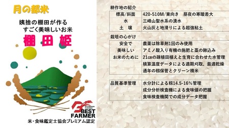 【令和7年産新米予約】姨捨 の 棚田 プレミアム コシヒカリ 「 棚田姫 」 5kg｜ コシヒカリ コシヒカリ コシヒカリ コシヒカリ コシヒカリ