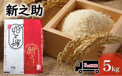 
                  【先行予約 3か月連続定期便】令和8年産米 新之助 5kg お米 精米新潟県田上町 [№5882-0410]
                