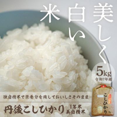 ふるさと納税 京丹後市 令和7年産　丹後こしひかり1等米5kg　美白精米