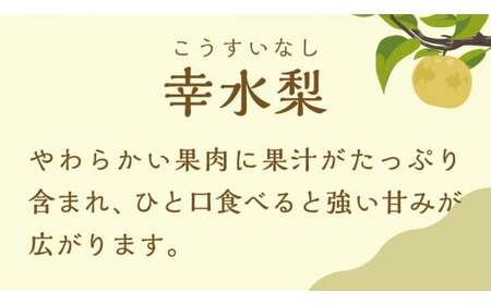 【 2025年8月上旬以降発送 】 片野果樹園 幸水梨 約5kg 幸水 産地直送 [AD016ya]