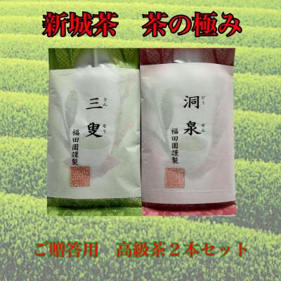 ふるさと納税 新城市 高級煎茶　茶の極み　(三叟100g、洞泉100g)