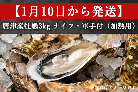 『先行予約』【令和7年1月10日から発送】いろは島の料理長が厳選！唐津産 牡蠣3kg ナイフ 軍手付 (加熱用殻付き) かき カキ 殻付き牡蠣 養殖 まがき 貝 海鮮 シーフード