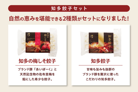 知多の梅しそ餃子・知多餃子セット 餃子食べ比べセット 愛知県産 ご当地餃子 国産 生餃子 梅 梅しそ おかず ぎょうざ ギョウザ 冷凍食品 お惣菜 豚肉 中華 点心 お取り寄せ おつまみ 国産野菜 贈
