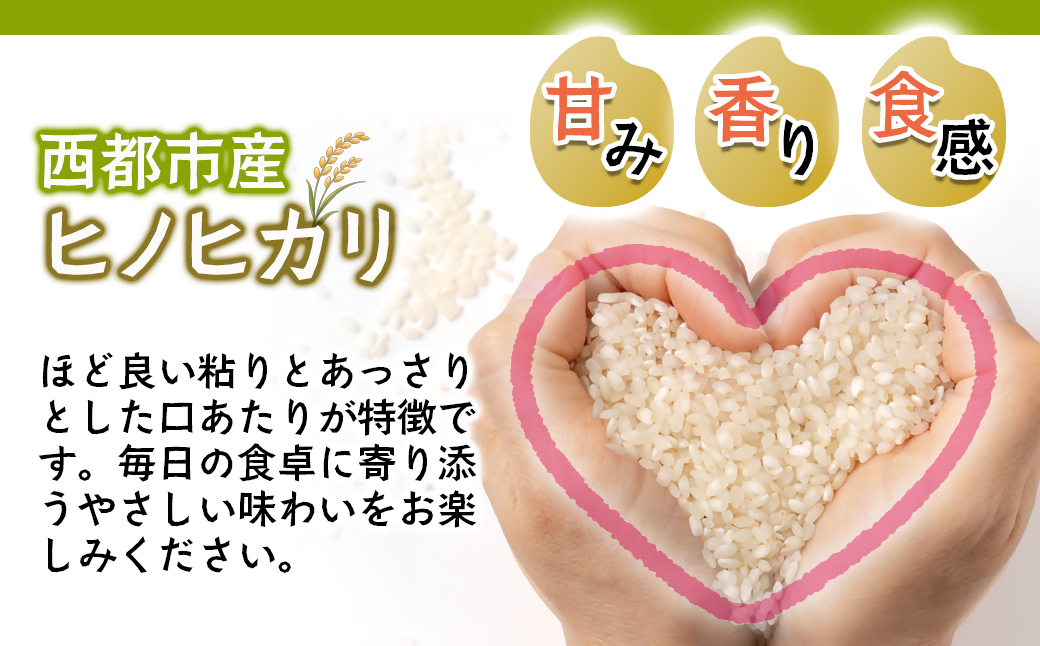 【先行受付】令和8年産ひのひかり5kg～台地の恵み『お子め』～西都市産【※10月以降順次発送】精米済み＜59-2a＞