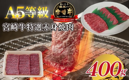 【A5等級】宮崎牛特選赤身焼肉 400g  宮崎牛 ブランド牛 和牛 牛肉 焼肉 特選和牛 赤身 A5 宮崎県 小林市