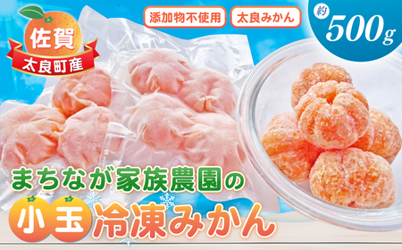 まちなが家族農園の小玉冷凍みかん　約500ｇ 小玉冷凍みかん 冷凍みかん 小玉みかん みかん柑橘 冷凍 佐賀県 太良町 LA2