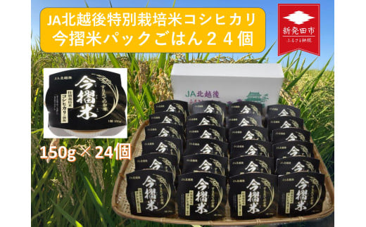 JA北越後特別栽培米コシヒカリ（今摺米パックごはん24個）【 新潟県 JA北越後 北越後農業協同組合 米 コシヒカリ 今摺米 パックごはん レトルト 特別栽培米 セット  防災 非常食 常備 今ずり米 備蓄食 災害 150g 24個  D67 】