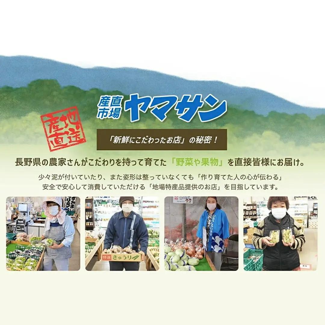 【2026年先行予約】千曲市産りんご 季節のりんご3種 約5kg 訳あり 家庭用 | りんご