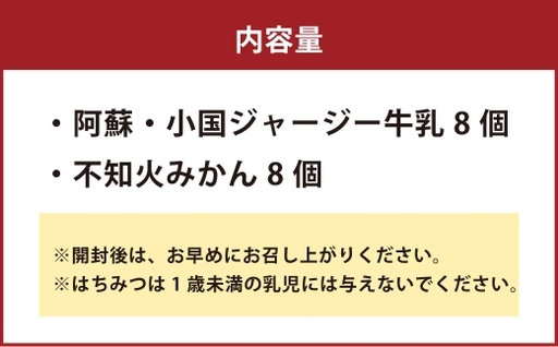 一の了 創作菓子 16個入り 阿蘇・小国ジャージー牛乳 不知火みかん 餡 熊本土産 和菓子 お菓子 菓子 洋菓子 スイーツ デザート おやつ