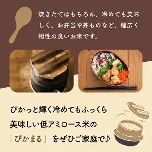 ＜数量限定＞【令和8年産】【超早場米】低アミロース米『 ぴかまる 』5kg_K028-002-R8