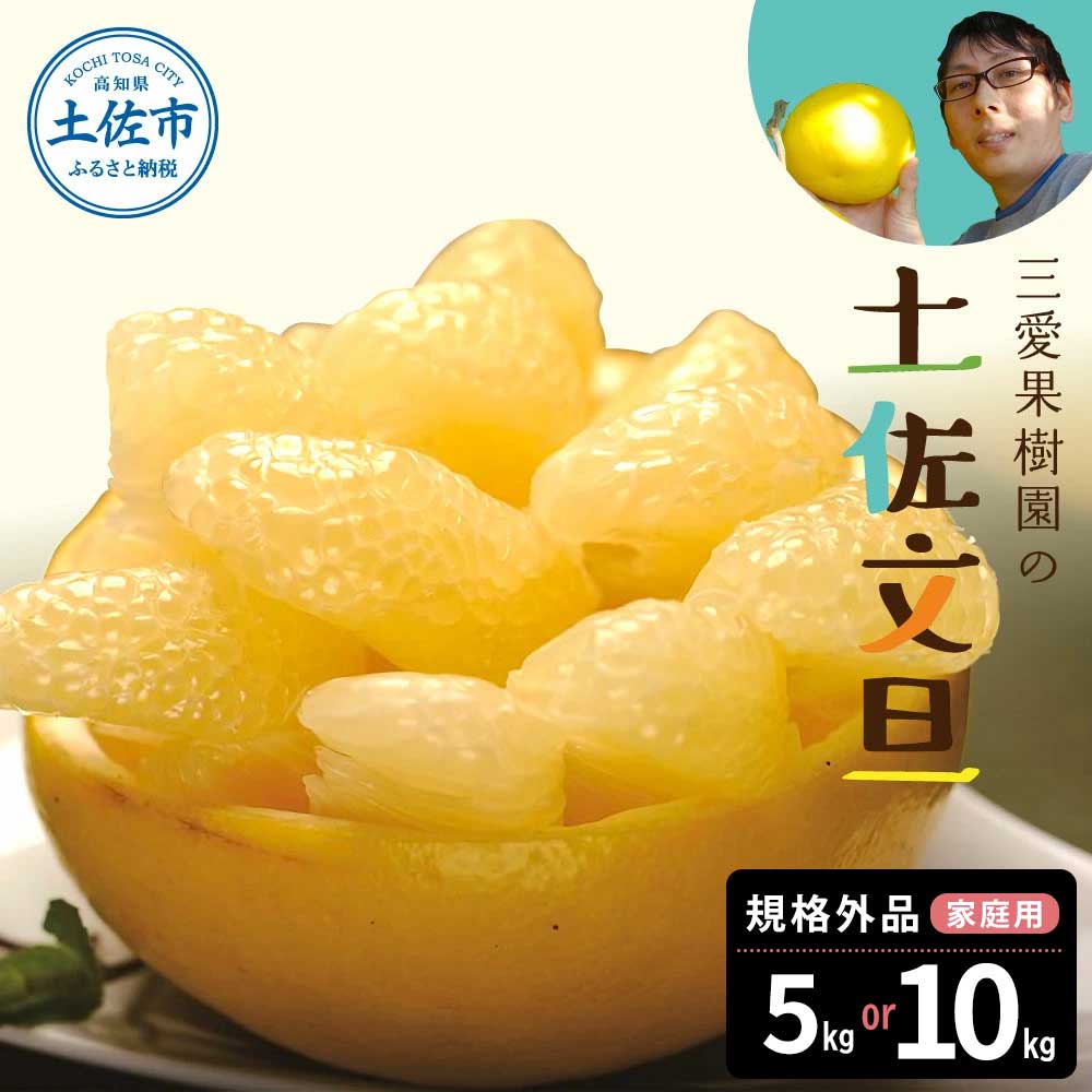 【ふるさと納税】先行予約　文旦 選べる内容量 約5kg 約10kg 5キロ 10キロ L～4Lサイズ 土佐文旦 みかん 柑橘 ぶんたん ブンタン 果物 フルーツ デザート おやつ 三愛果樹園の土佐文旦 おいしい 美味しい 規格外品 お取り寄せ 常温 配送 故郷納税 ふるさとのうぜい 返礼品