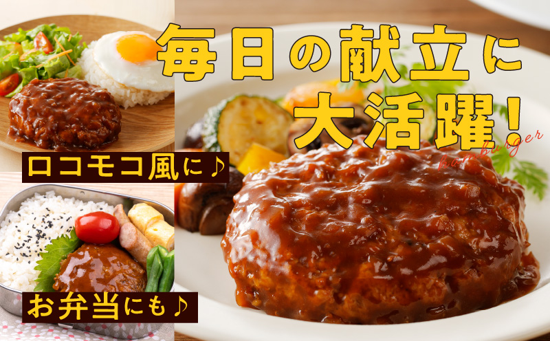 特製ソース ハンバーグ 10個 個包装 160g×10個【泉州玉ねぎ使用 はんばーぐ 人気 惣菜 小分け レンチン 湯煎 簡単調理】 099H2885