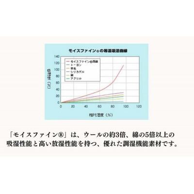 ふるさと納税 和歌山市 洗える除湿シート セミダブル(110×180cm)布団下の結露やカビの対策 JO-SW |  | 02