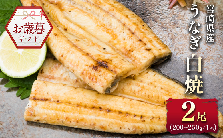 お歳暮対応「玄人の一品」うなぎ 白焼き ギフト 2尾（200～250g/1尾あたり) 宮崎県産鰻 蒲焼きタレ付（50ml×1本）配送日指定可 国産 有頭 熨斗 贈答品【N38】