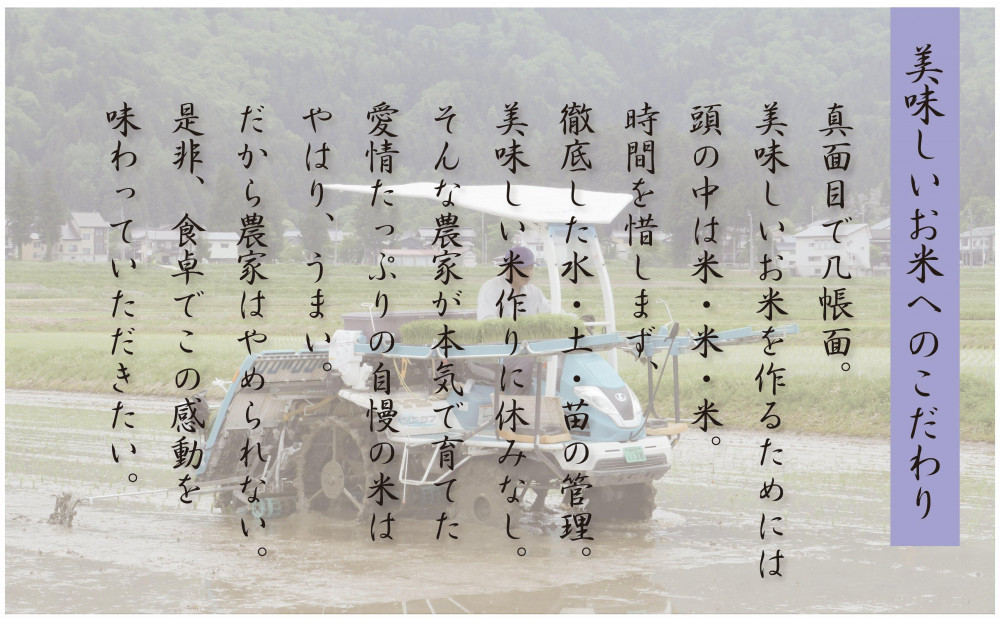 【令和8年産先行予約】南魚沼産コシヒカリ10kg一等米（5kg×2袋）【塩沢地区】【銘柄米 ブランド米 精米 こしひかり コシヒカリ 魚沼産 新潟米 産地直送 お米 米 こめ】【2026年10月中旬よ