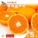 【ふるさと納税】 訳あり 愛媛みかん 約5kg 光センサー選果 柑橘 果物 国産 フルーツ 蜜柑 大小 ミックス 不揃い 傷 温州 ビタミン 美味しい みかん職人武田屋 愛媛県 愛南町 発送期間: 9月中旬〜1月中旬