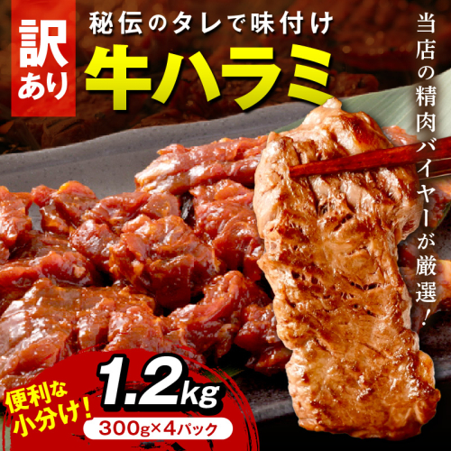 【訳あり】牛ハラミ（サガリ） 秘伝のタレ込み 味付け肉 1.2kg（300g×4パック） ＜牛肉 訳あり ハラミ サガリ 味付け肉 小分け 個包装 牛肉 タレ漬け 手作り 焼肉 肉 牛ハラミ わけあり 訳有り ワケアリ 焼肉 日用品 送料無料＞