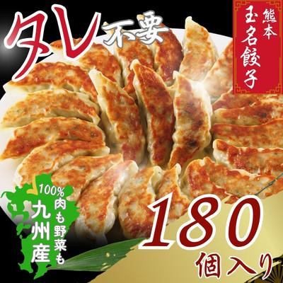 ふるさと納税 玉名市 玉名餃子 180個