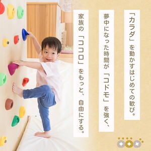 入場券 休日/2枚 チケット 自然を感じる遊び場【KIRI no KO】 京都 きりのこ キリノコ