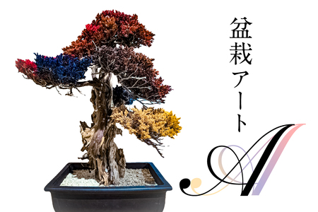 盆栽アート【A】 【0120-001】盆栽 ｱｰﾄ 伝統文化 ｲﾝﾃﾘｱ ﾃﾞｨｽﾌﾟﾚｲ 再生 植物