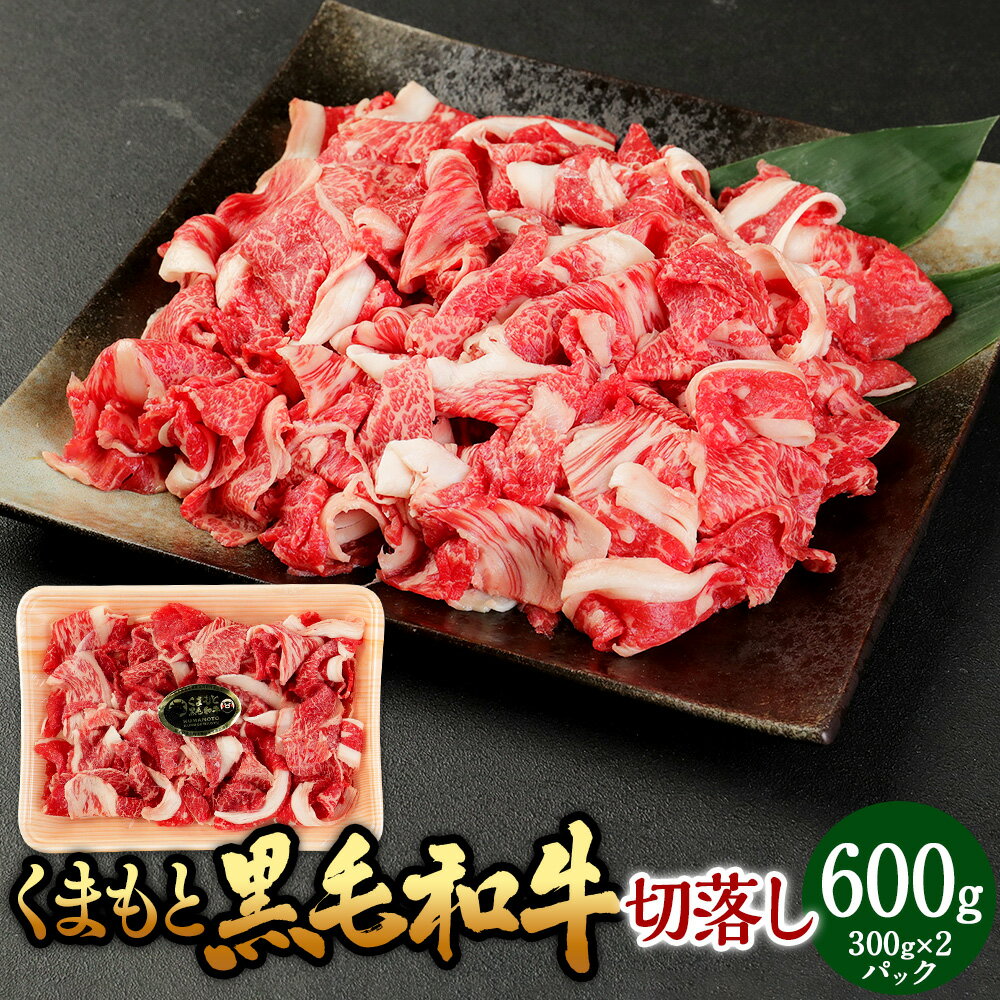 【ふるさと納税】くまもと黒毛和牛 切落し 約600g（約300g×2パック）熊本黒毛和牛 黒毛和牛 和牛 国産牛 国産牛肉 牛肉 肉 牛モモ 牛カタ 牛バラ 切り落とし 冷凍 国産 お取り寄せグルメ 熊本県 湯前町 送料無料