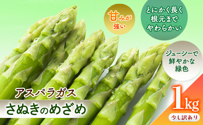 少し訳ありSWANの特選アスパラ1kg【さぬきのめざめ】 野菜 野菜セット アスパラガス 訳ありアスパラ 