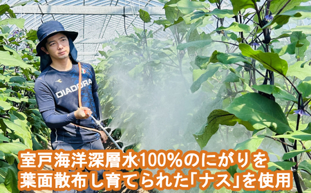 揚げナス 1.8kg【輪切り・乱切り】海洋深層水仕込みのナス使用 カット済 野菜 やさい ナス なす 茄子 生産量日本一 高知 室戸 惣菜 便利 用途 豊富 カット野菜 調理 ハウス栽培 小分け 