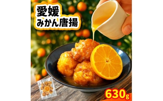 愛媛みかん唐揚  15個  【10月中旬頃～2月下旬頃順次発送】 唐揚げ から揚げ カラアゲ 冷凍食品 小分け 便利 惣菜 おかず 簡単調理 弁当 みかん漬けタレ 国産鶏 人気 おすすめ 送料無料 愛媛県 松山市