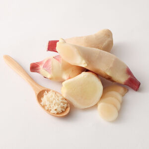 新生姜１kg（季節限定・農家直送）甘酢漬け ガリ 佃煮 ジンジャーエール ショウガ【R00009】