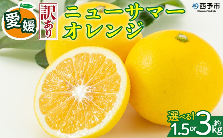 
                  ＜【訳あり】愛媛県産 ニューサマーオレンジ 約1.5kg／3kg＞『2027年4月上旬～5月中旬迄順次発送予定』 選べる 容量 内容量 わけあり 日向夏 みかん 蜜柑 果物 くだもの フルーツ ミカン 果汁 国産 特産品 株式会社三代目みかん職人 愛媛 西予市【冷蔵】
                