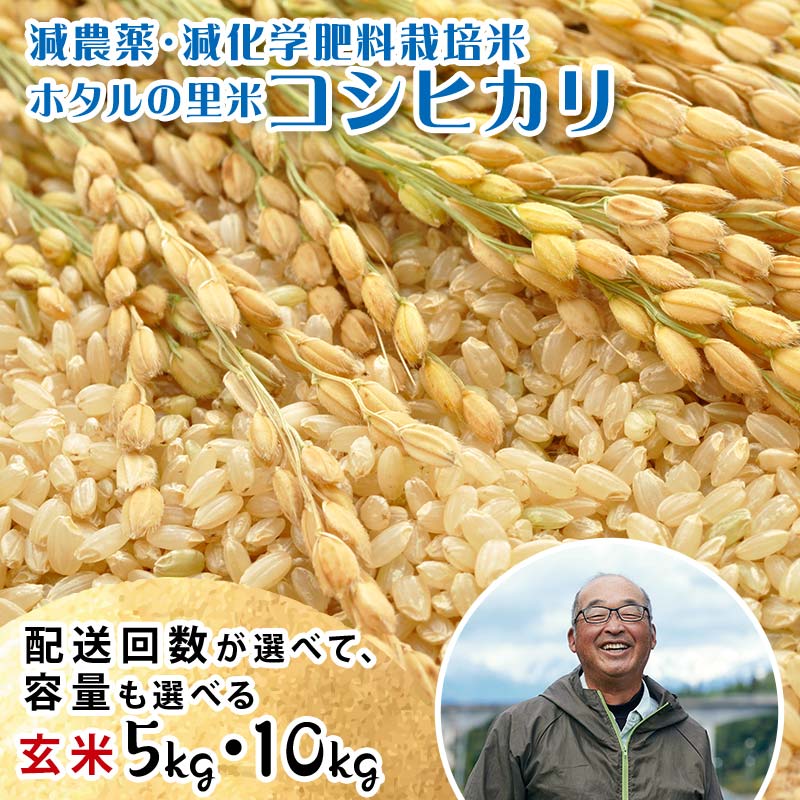【ふるさと納税】《選べる定期便》【ホタルの里米】環境に配慮し農薬を減らした栽培米コシヒカリ 玄米 《選べる5kg・10kg》 米 お米 おこめ ご飯 ごはん 福島県 西会津町 容量が選べる F4D-0695var