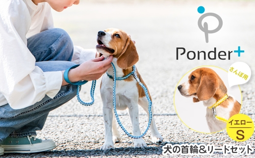 No.461-01 犬の首輪＆リードセット さんぽ用 ポンダープラスイエロー S ／ ペット用品 犬用品 ペットグッズ 散歩グッズ ワンタッチ 着脱簡単 ロック付き 高耐久 おしゃれ 丈夫 カラフル ハンドメイド 手作り 手編み パラコード 革 レザー 大阪府