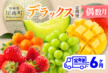  デラックス 定期便 【偶数月】【 川南町産 きんかん いちご 完熟 マンゴー ぶどう シャイン マスカット メロン  全6回定期便 】