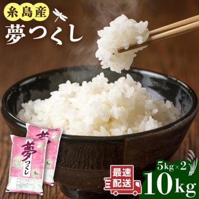 ふるさと納税 糸島市 糸島産 夢つくし 10kg 糸島市/三島商店[AIM002]