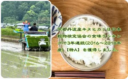 定期便 令和8年産 新米 京都丹波産 キヌヒカリ 5kg×9回 計45kg 白米 精米