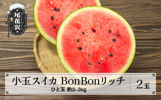 尾花沢産 小玉スイカ BonBonリッチ (約2~3kg)×2玉 7月下旬頃~発送 令和9年産 2027年産 山形県 尾花沢市 観光物産 kb-subrx2
