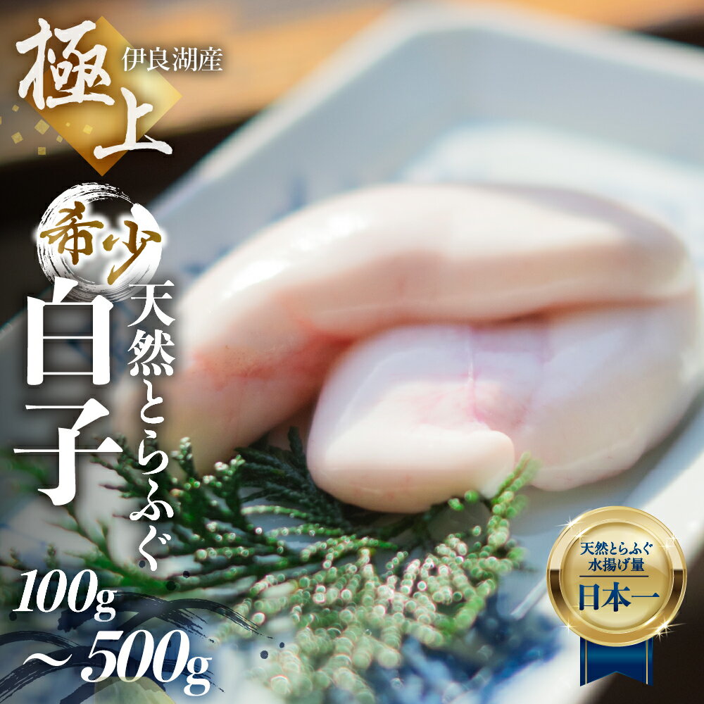 【ふるさと納税】最高級 天然とらふぐ 白子 選べる内容量 自家製ポン酢 薬味付き 伊良湖天然とらふぐ フグ 天然ふぐ 愛知県 田原市 最高級 高級 ブランド魚 魚 ブランド 魚