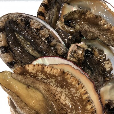 【2ヵ月毎定期便】隔月で八幡浜発、竹中水産の大アワビ600g前後(2〜3個)【H22-287】全3回【配送不可地域：離島・北海道・沖縄県】【4076448】