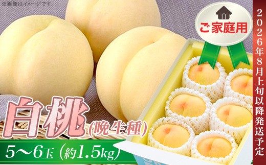 
                  ご家庭用 白桃(晩生種) 5～6玉（約1.5kg）【27年8月上旬以降に順次発送】
                