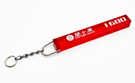クセが強い関ケ原キーホルダーと東軍西軍両トップのエコバック2種付セット