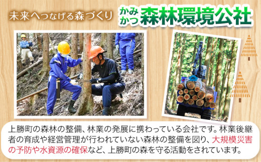 天然木パズル 約400g W270×H225×D13 一般社団法人かみかつ森林環境公社《30日以内に出荷予定(土日祝除く)》 ｜ おもちゃ パズル 知育k-1玩具 インテリア 木製 徳島県産 杉 プレ