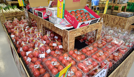 長生（ながいき）とまと2箱（40～48個（約8kg））　先行予約