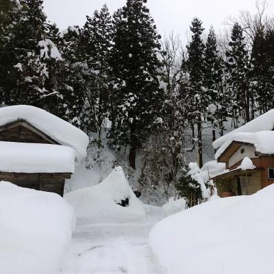 ふるさと納税 上越市 令和7年産/新潟県認証米/特別栽培米コシヒカリ真空パック詰(300g×5袋) |  | 02