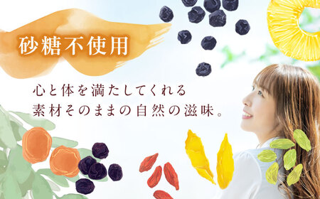 【3回定期便】生乾燥ヨーグルト用ミックス 中パック500ｇ【砂糖不使用】【多々楽達屋】ドライフルーツ 厳選 たたらちや 厳選 濃厚 砂糖不使用 果物 パイン レーズン マンゴー グレープ 杏 おつまみ