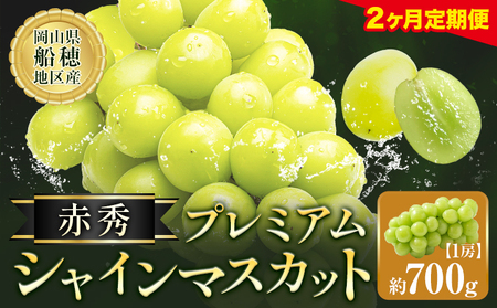 【先行予約】【2ヶ月定期便】ぶどう シャインマスカット 赤秀 プレミアム 晴王 700g 1房 マスカット岡山《9月上旬-10月末頃出荷》岡山県 浅口市 送料無料 フルーツ 果物 マスカット お取り寄せフルーツ【配送不可地域あり】（北海道・沖縄・離島）